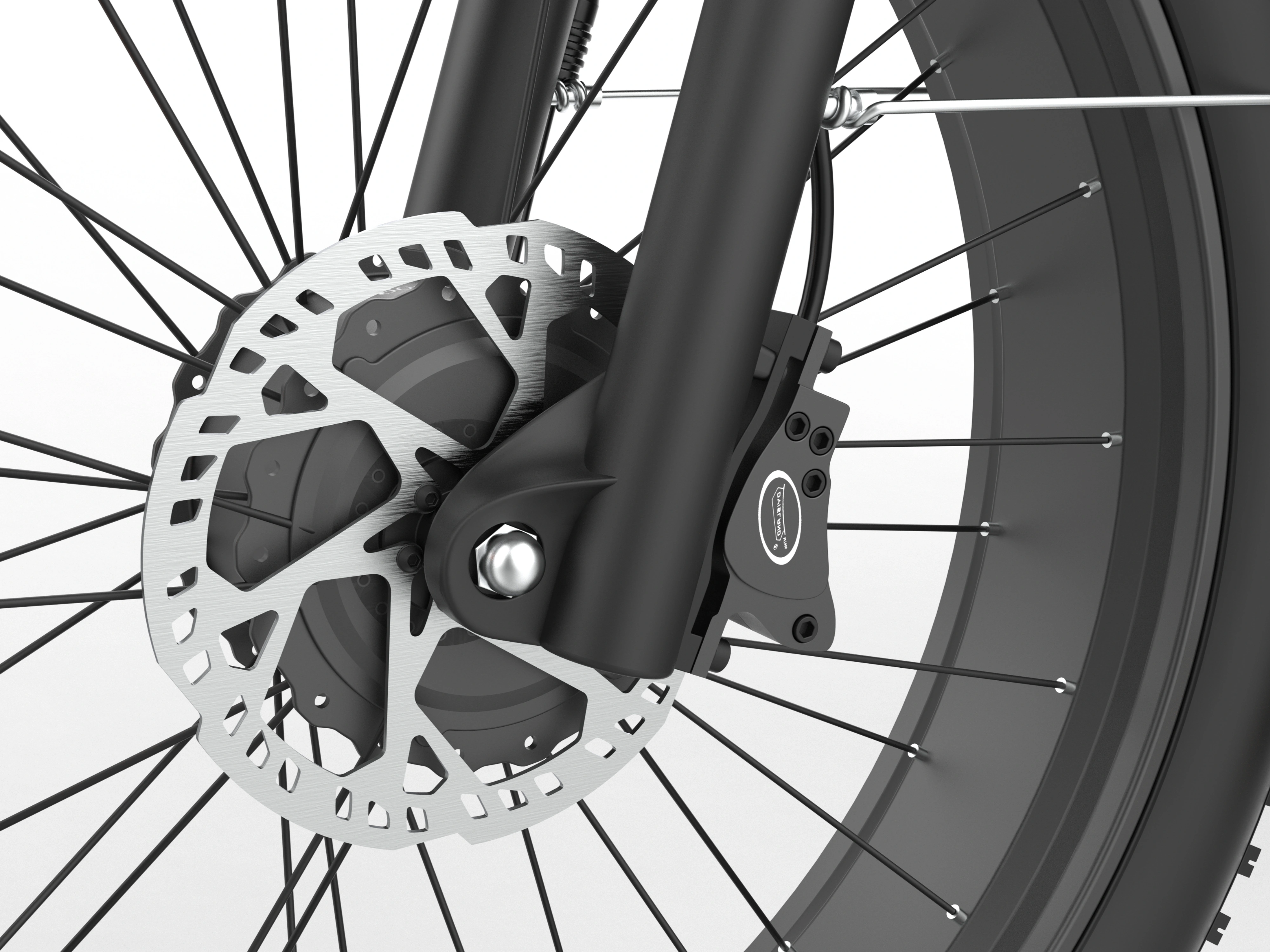 COASTA CT2 Dual-Motor Adult Fat Tire Electric Bikes
