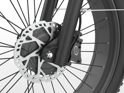 COASTA CT2 Dual-Motor Adult Fat Tire Electric Bikes