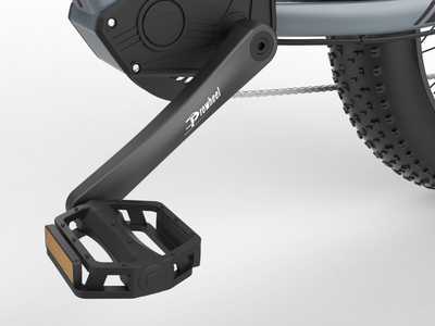 COASTA CT2 Dual-Motor Adult Fat Tire Electric Bikes