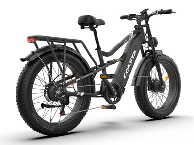 COASTA CT6 Dual-Motor Adult Off-Road Electric Bike