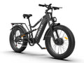 COASTA CT6 5000W Dual Motor Fat Tire Off-Road Electric Bike