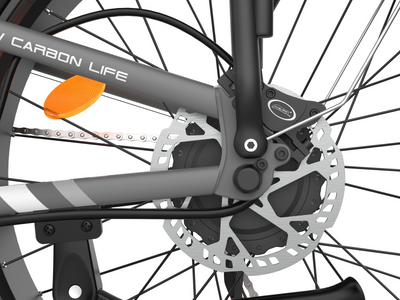 COASTA CT6 Dual-Motor Adult Off-Road Electric Bike