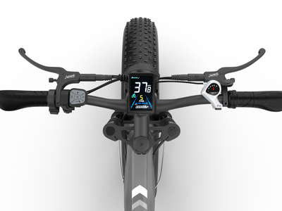 COASTA CT6 Dual-Motor Adult Off-Road Electric Bike