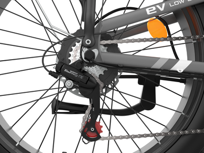 COASTA CT6 Dual-Motor Adult Off-Road Electric Bike