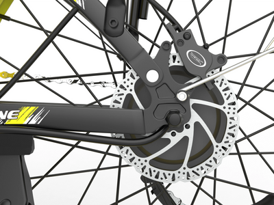 COASTA CT8 Dual-Motor Electric Bike with Disc Brakes