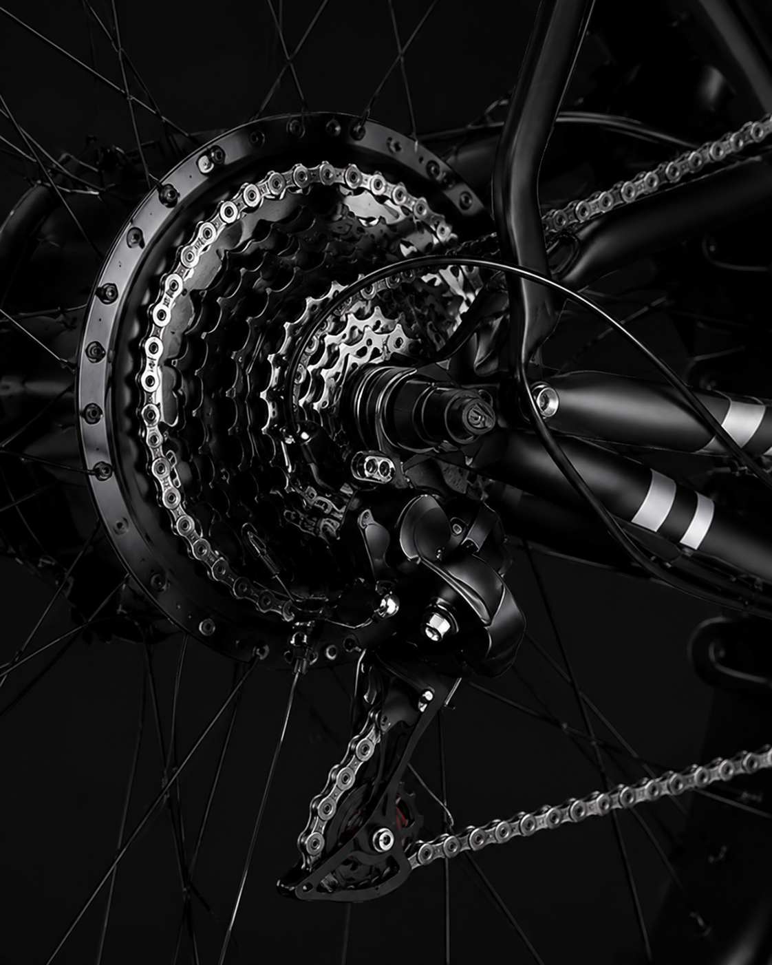 Control that keeps up with every ride. control detail on COASTA CT6 5000W Dual Motor Fat Tire Off-Road Electric Bike
